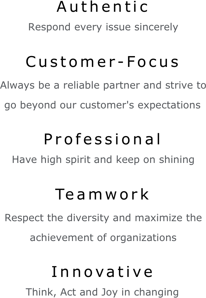 Authentic Customer-Focus Professional Teamwork Innovative