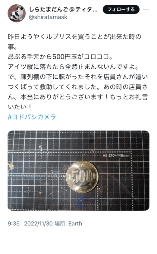 投稿画像