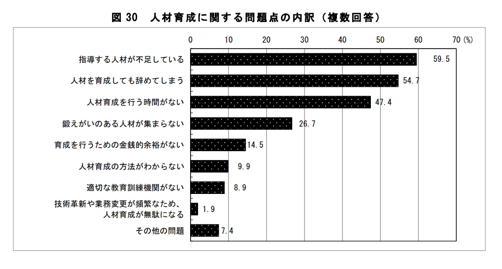 人材育成に関する問題点の内訳