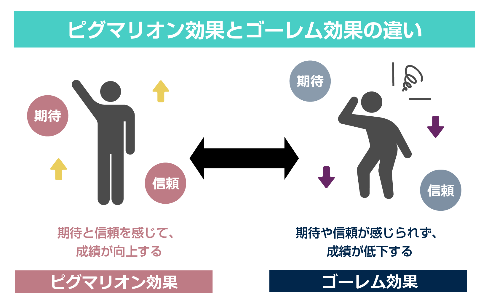 ピグマリオン効果とゴーレム効果