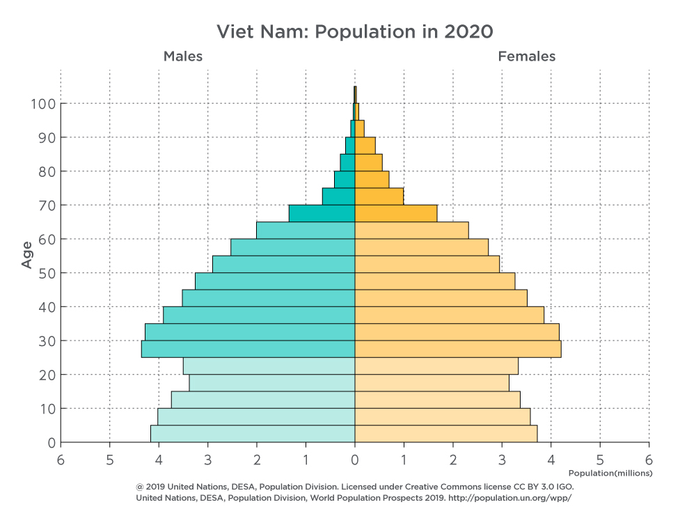 ベトナムの人口ピラミッド