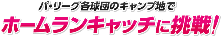 パ・リーグ各球団のキャンプ地でホームランキャッチに挑戦！